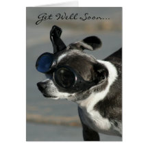 Get well soon chihuahua greeting card