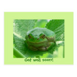 Get well soon - green frog with smile postcard