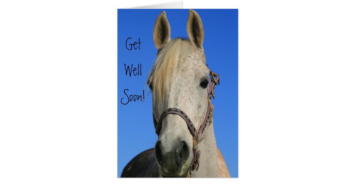 Get Well Soon horse greeting card Zazzle