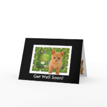 Get Well Soon Kitten Card