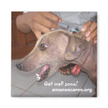 Get Well Soon!  Magnet