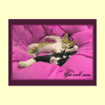 Get well soon - pink kittens postcards