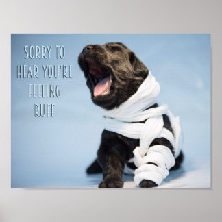 Get Well Soon Posters | Zazzle