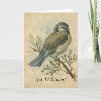 Get Well Soon, Vintage Bluetit Bird card