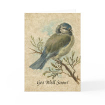 Get Well Soon, Vintage Bluetit Bird cards