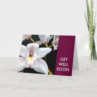 Get Well Soon Wishes White Orchid Card card