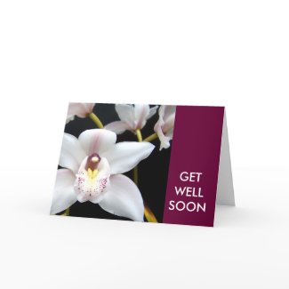 Get Well Soon Wishes White Orchid Card card