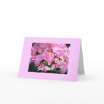Get Well...We're thinking of you... Greeting Cards