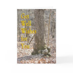 makara, tree, get well, leaves, fall, timber,