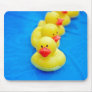 Get Your Ducks In A Row Mouse Pad