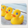 Get Your Ducks In A Row Mouse Pads