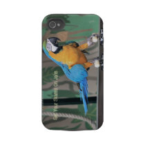 Get your Skates on iPhone 4 case