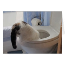 Getting a Drink Greeting Cards