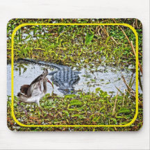 Getting Acquainted Mouse Pads
