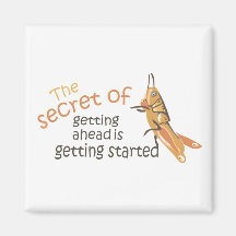 Getting Ahead Secret Magnet