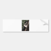 Getting By Without You Bumper Stickers