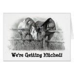 GETTING HITCHED: HORSE PENCIL ART: INVITATION GREETING CARD