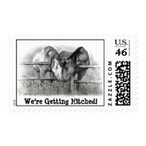 GETTING HITCHED, MARRIED: HORSE PENCIL ART: STAMP