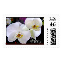Getting married in February? Wedding Postage postage by aslentz Getting married in February? Wedding Postage postage