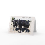 Getting Older Brithday Humor cards