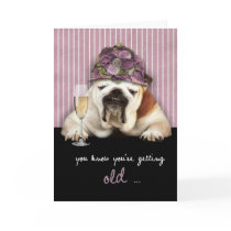 getting older, happy birthday, funny dog, pink hat cards