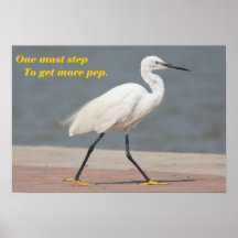 Getting Pep Posters
