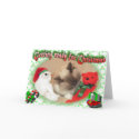 Getting ready for Christmas! cards by eDaMour Getting ready for Christmas! cards