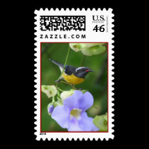Getting Ready II postage by larissabrea Getting Ready II postage