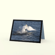 Gettng Airborne cards by MoiraAshleigh Gettng Airborne cards