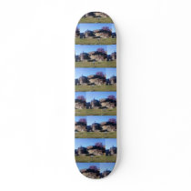 Gettysburg - Devil's Den - Skateboard