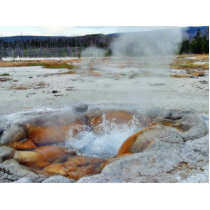 Geysers Steam Boiling Yellowstone photo sculptures