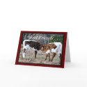 GFAnyOccasion-customize cards by MakaraPhotos GFAnyOccasion-customize cards