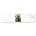 GHANDI ~ THE POWER FROM WITHIN TO ENLIGHTEN A NATI BUMPER STICKERS