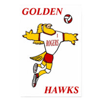 GHawk Volleyball Poster posters