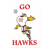 GHawk Volleyball Poster posters