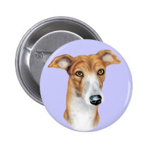 ghbusttrns buttons