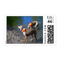 Ghost and Nina postage