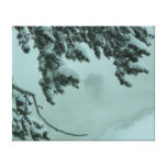 Ghost Buffalo Stretched Canvas Prints