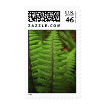 Ghost Fern Leaf Postage Stamp