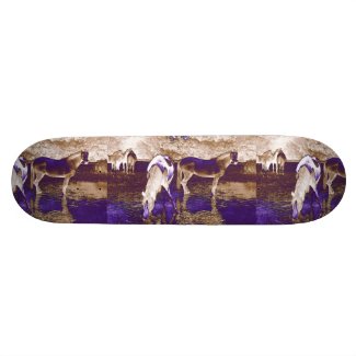 Ghost Horses skateboard