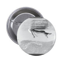 Ghost Image Buttons