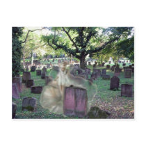 Ghost In The Cemetery postcards