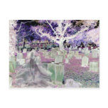 Ghost in the Cemetery Post Cards