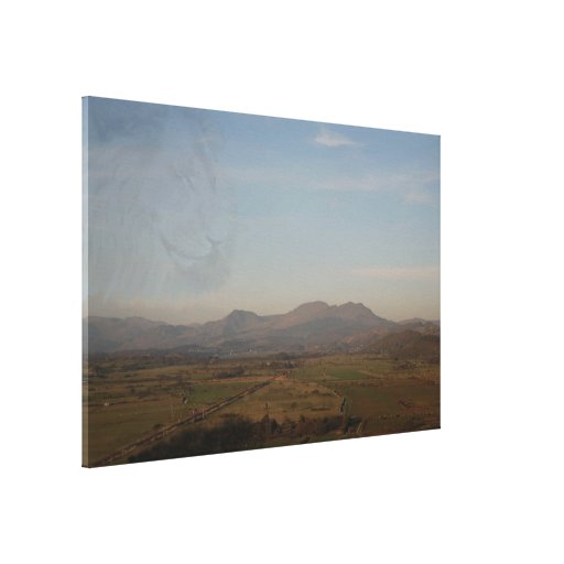 Ghost lion canvas. stretched canvas print