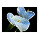 Ghostly Calla Lilies Card