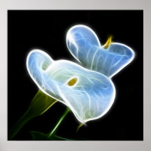 Ghostly Calla Lilies Posters