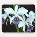 Ghostly Cattleyas mousepads by ElainePlesser Ghostly Cattleyas mousepads