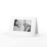 "Ghostly Hibiscus" cards