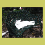 Ghostly Kitty posters