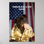 GI Yogi Fighting the war on terror Print